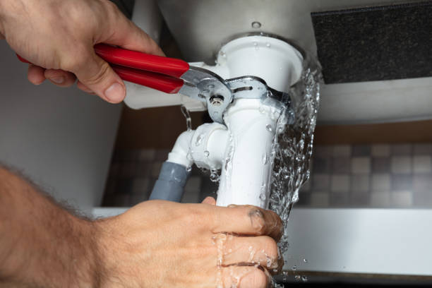 Best Flood restoration services  in La Vergne, TN