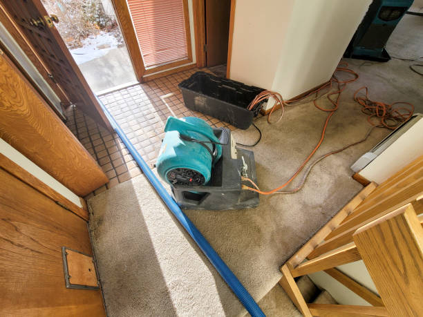 Water damage restoration experts in La Vergne, TN
