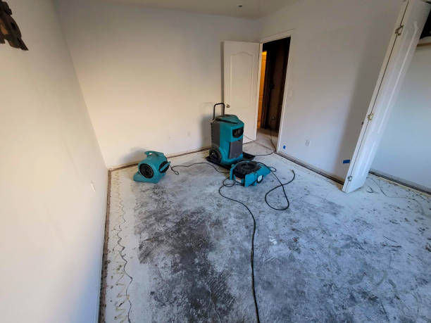  La Vergne, TN Water damage restoration Pros