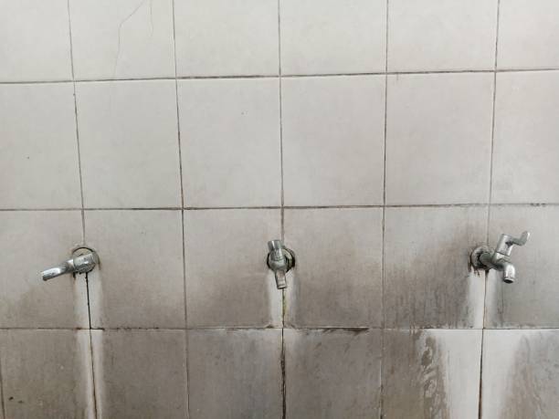 Best Flood damage cleanup  in La Vergne, TN