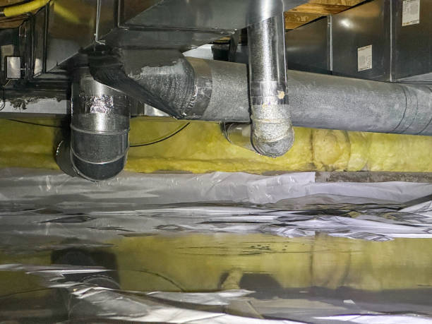 Best Water damage contractors near me  in La Vergne, TN