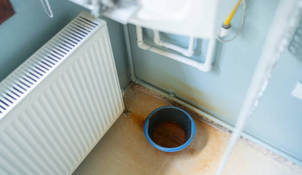 Best Mold removal after water damage  in La Vergne, TN