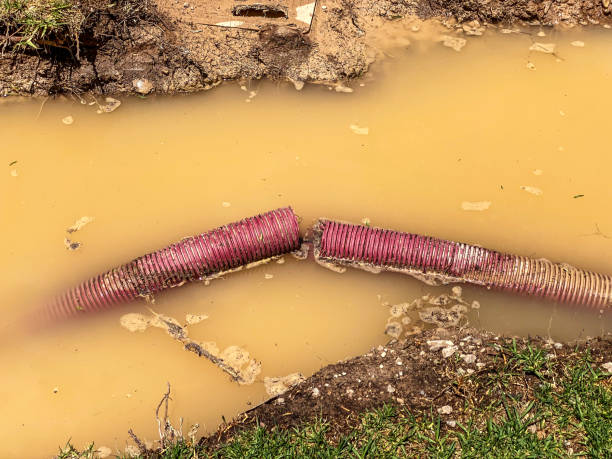 Best Water damage restoration experts  in La Vergne, TN