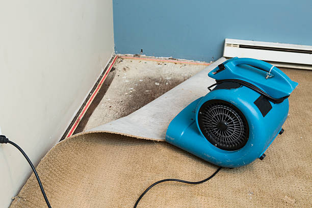 Best Sewage cleanup and water damage restoration  in La Vergne, TN